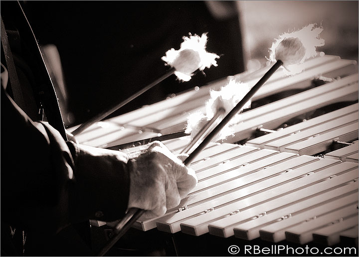 Corona jazz music photography